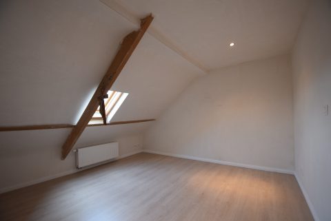 Dsc 4155