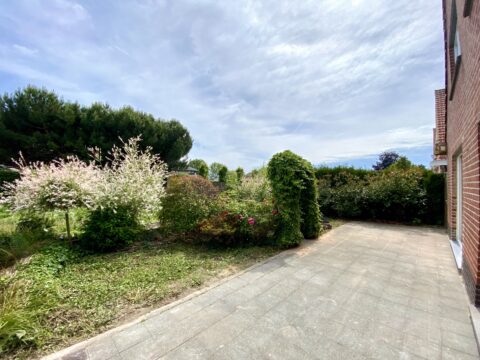 Tulpenlaan Img 3900